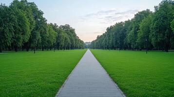 Lush green park pathway lined with trees, creating serene atmosphere at twilight photo