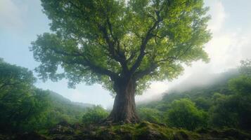 Majestic ancient tree with lush green leaves in serene landscape photo