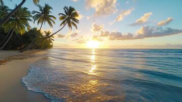 A beautiful beach scene with palm trees and the sun setting photo