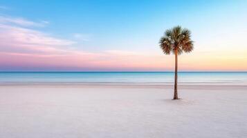 Palm tree on the beach at sunset photo