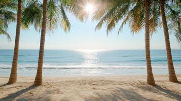 A beach with palm trees and the sun shining through photo