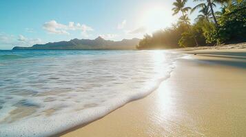 A beach with palm trees and a sun shining on it photo