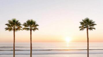 Three palm trees are standing on the beach at sunset photo