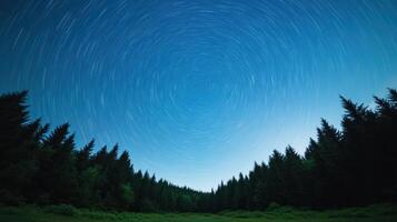 A star trail in the sky above a forest photo