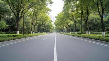 An empty road lined with trees and bushes photo