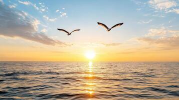 Two birds flying over the ocean at sunset photo