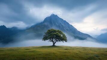 A lone tree stands in front of a mountain range photo