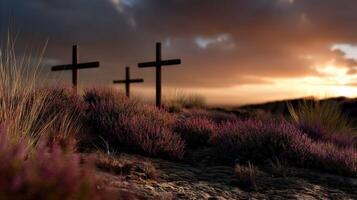 Three crosses on a hillside with purple flowers photo