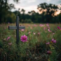 A wooden cross in a field of pink flowers photo