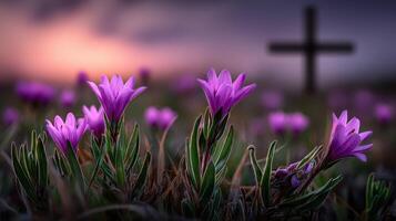 Purple flowers blooming at dusk near a wooden cross photo