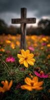 Vibrant flowers bloom near a wooden cross in a field photo
