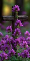 Cross surrounded by vibrant purple flowers in a serene setting photo