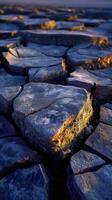 Cracked earth under sunset light highlights drought conditions photo
