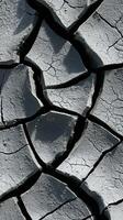 Cracked dry soil reveals patterns of drought impact photo