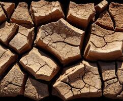 Cracked earth texture showcasing dry soil and desert terrain photo