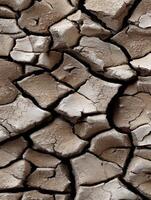 Cracked earth revealing dry soil texture under sunlight photo