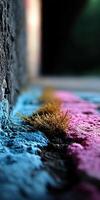 Colorful moss growing between urban pavement cracks photo