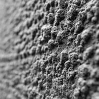 Textured surface showcasing intricate details and patterns photo