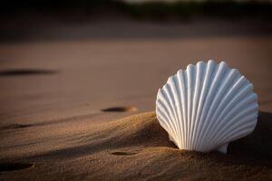 Shell resting gently on sandy beach during sunset photo