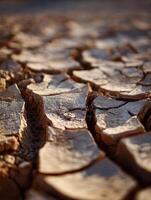 Dry cracked earth showcasing effects of drought photo