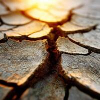 Cracked earth shows drought's harsh reality under sun photo