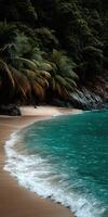 Tranquil beach with waves and lush trees in a tropical setting photo