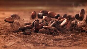 Cocoa beans fall on cocoa powder. Filmed on a high-speed camera at 1000 fps. High quality FullHD footage video