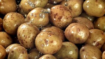 Water is poured on fresh potatoes. Filmed on a high-speed camera at 1000 fps. High quality FullHD footage video