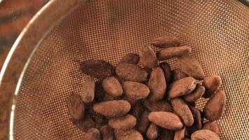 Cocoa beans fly up and fall down. Filmed on a high-speed camera at 1000 fps. High quality FullHD footage video