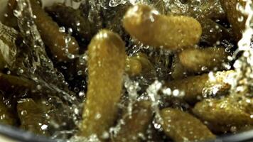 Pickled cucumbers fall into the brine. Filmed on a high-speed camera at 1000 fps. High quality FullHD footage video