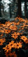 Vibrant orange flowers blooming in a serene garden setting photo