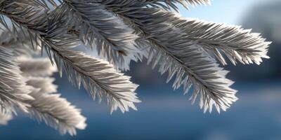 Frost-covered branches in a serene winter landscape photo