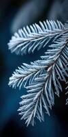 Frosted evergreen branches create a serene winter atmosphere photo