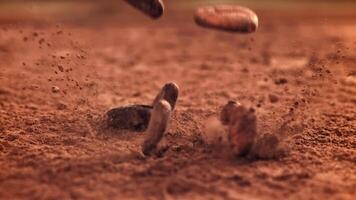 Cocoa beans fall on cocoa powder. Filmed on a high-speed camera at 1000 fps. High quality FullHD footage video