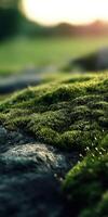 Moss-covered rock under natural sunlight on a serene morning photo