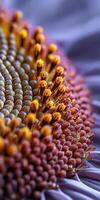Close-up view of vibrant sunflower details in natural setting photo