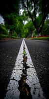 A road with a white line on it photo
