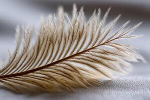 Delicate feather lying on a soft fabric surface photo
