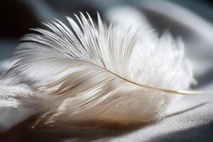 Delicate white feather resting on soft fabric surface photo