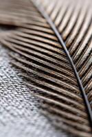 Close-up of a detailed palm leaf on textured fabric photo