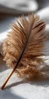 Soft brown feather resting on white fabric surface photo
