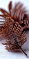 Feathers of tropical plants display intricate textures photo