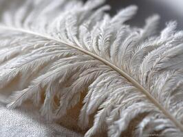 Soft white feather resting on a textured surface photo