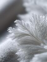 Soft white feathers gently resting on fabric photo