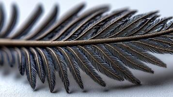 Detailed close-up of a delicate fern leaf pattern photo