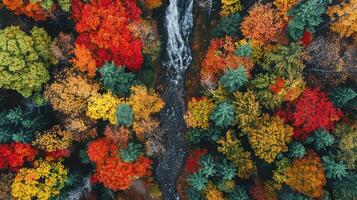 Vibrant Autumn Forest with Colorful Leaves and Cascading Waterfall photo