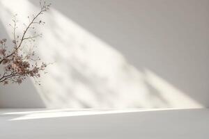 Soft Light and Minimalist Decor with Cherry Blossom Branch Shadow photo