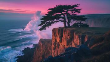 Tree on Cliff at Sunset Coastal Landscape Photography photo