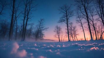 Winter Forest at Sunset photo