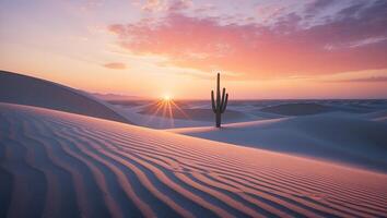 Cactus in Desert Sunset Landscape photo